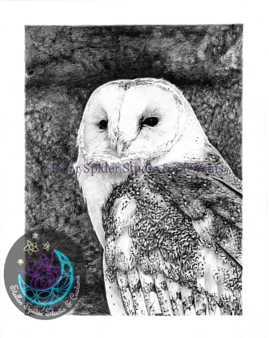 Simply Zoo-tiful Barn Owl (Signed) Print