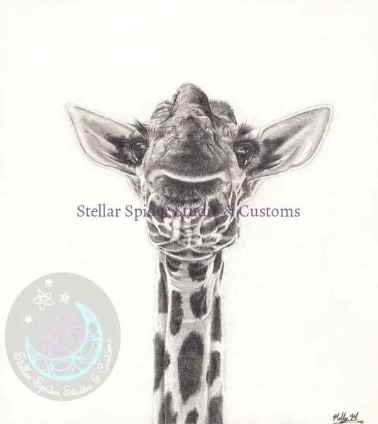 Simply Zoo-tiful Giraffe looking down