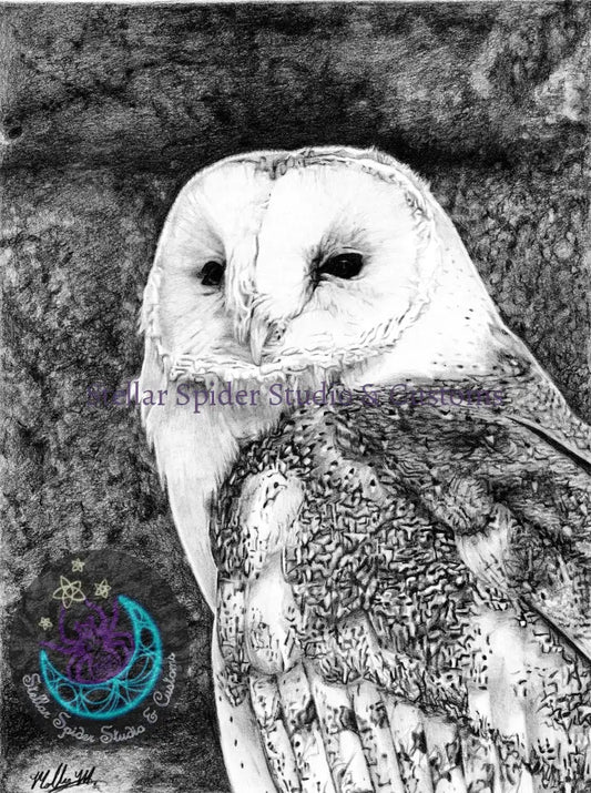 Simply Zoo-tiful Barn Owl (Signed) Print