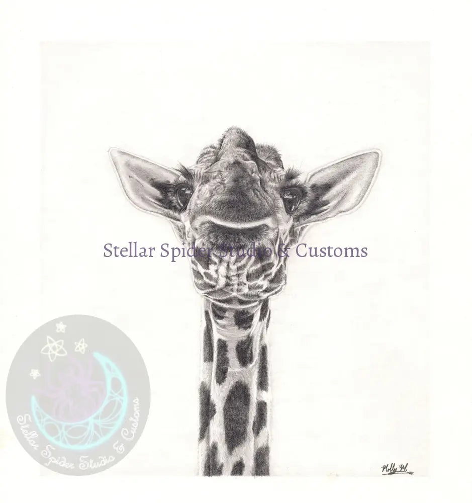 Simply Zoo-tiful Giraffe looking down